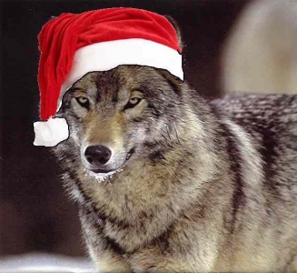 christmaswolf predwolfblogspotcom